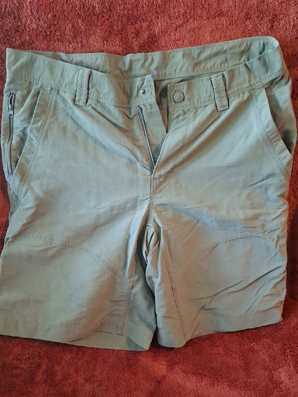 Northface Men's Sage/Brown Shorts